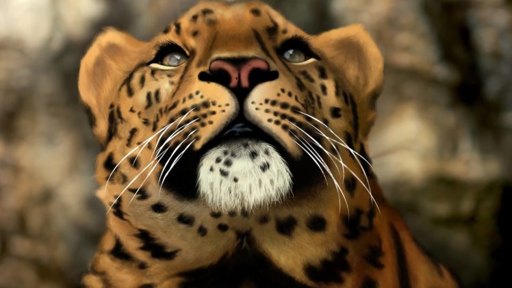 head, Face, Leopard, Art, Cat, Wild, Predator HD Wallpaper Desktop Background