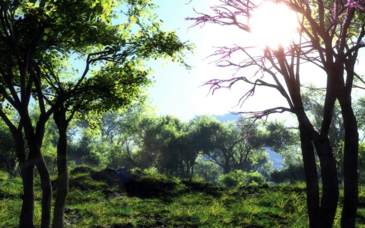 grass, Art, Nature, Sun, Trees HD Wallpaper Desktop Background
