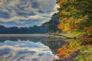 lake, Leaves, Nature, Fall, Walk, Park, Trees, Forest, Water, Colors, Autumn, Splendor, Autumn, Clouds, River, Sky, Colorful
