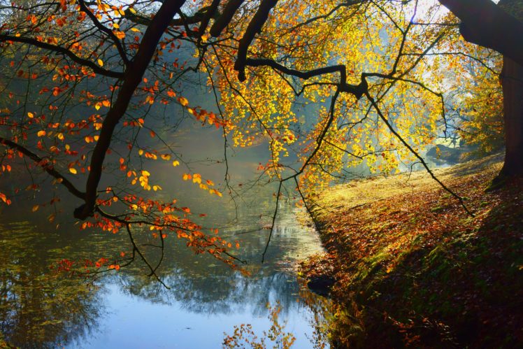 lake, Water, Trees, Autumn, Autumn, Splendor, Leaves, Nature, Fall HD Wallpaper Desktop Background