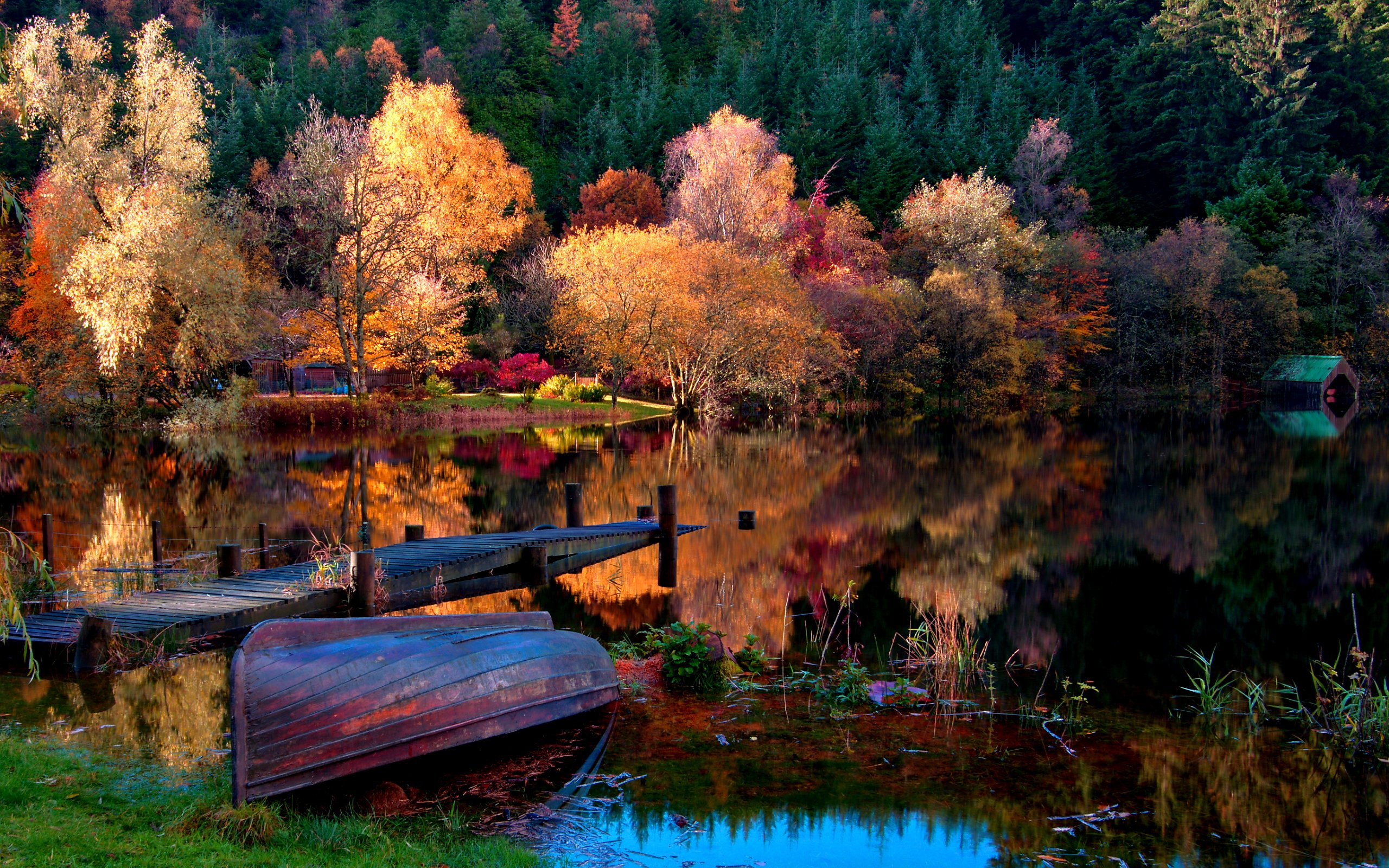 picture, Abandoned, Lake, Color, Nice, Leaves, Shore, Autumn, Splendor