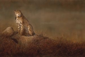 wild, Art, Painting, Cheetah, Cat
