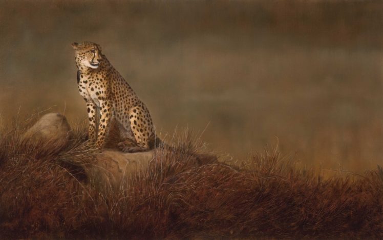 wild, Art, Painting, Cheetah, Cat HD Wallpaper Desktop Background