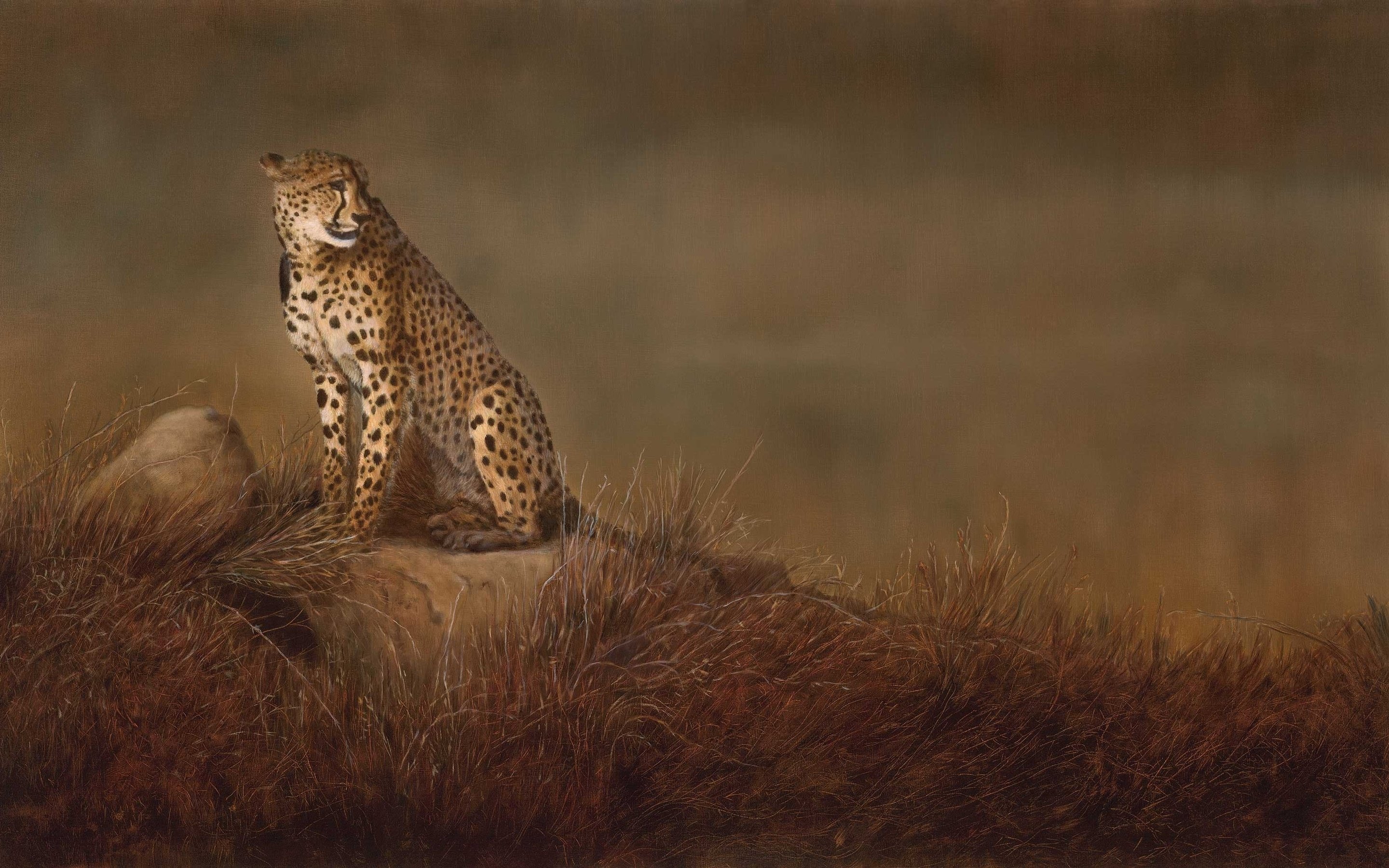 wild, Art, Painting, Cheetah, Cat Wallpaper