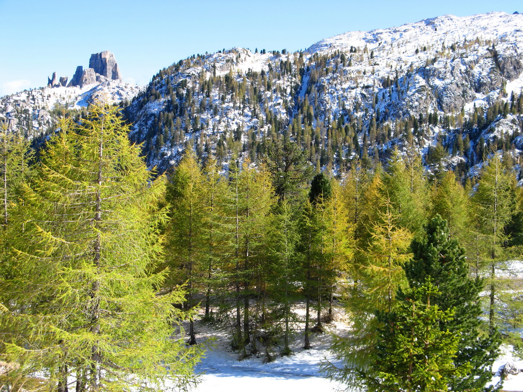 mountains, Italy, Scenery, Alps, Trees, Nature Wallpaper