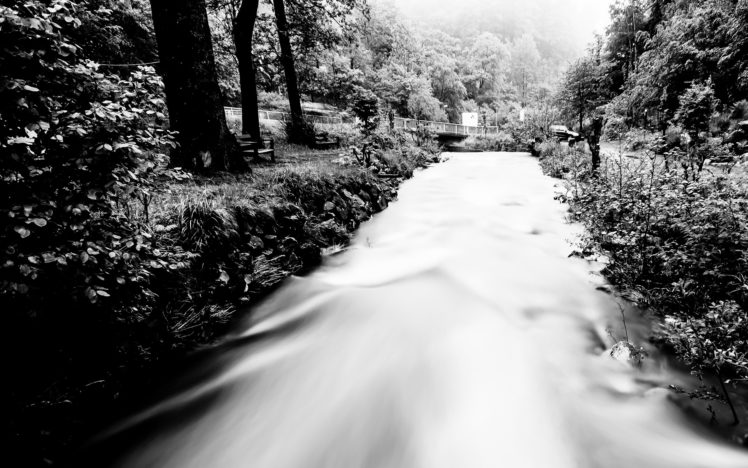 river, Stream, Forest, Trees HD Wallpaper Desktop Background