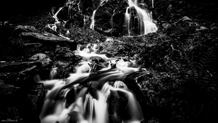 stream, Bw, Forest, River HD Wallpaper Desktop Background