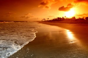 sunrise, Palms, Sea, Beautiful, Nature, Landscape, Water, Sky, Clouds, Scene, Waves, Beach, Sunset
