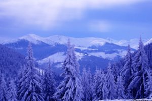 winter, Mountains, Hills, Trees, Snow, Landscape