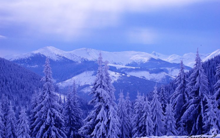 winter, Mountains, Hills, Trees, Snow, Landscape HD Wallpaper Desktop Background