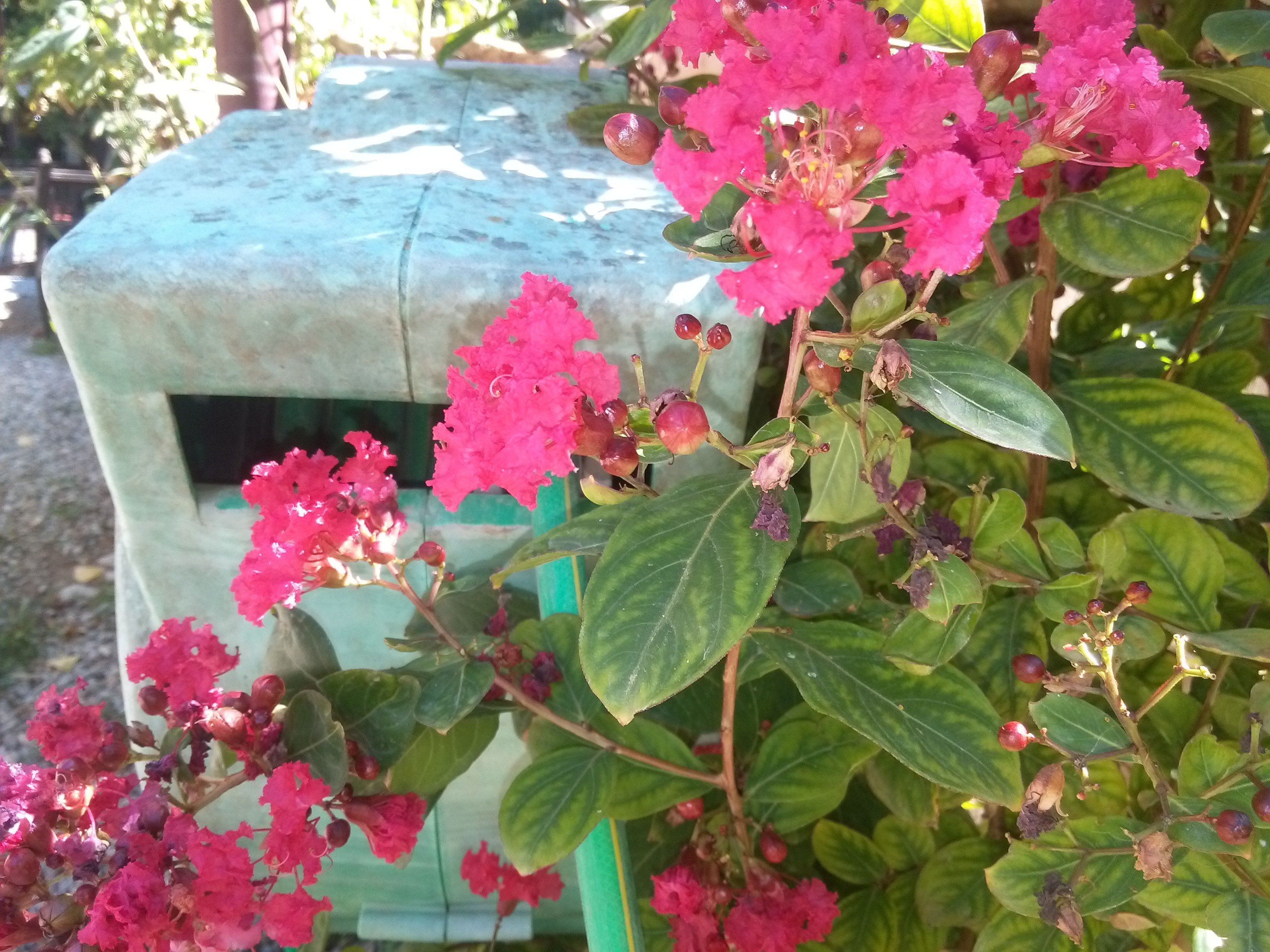 img, 20160812, 104547 Wallpaper