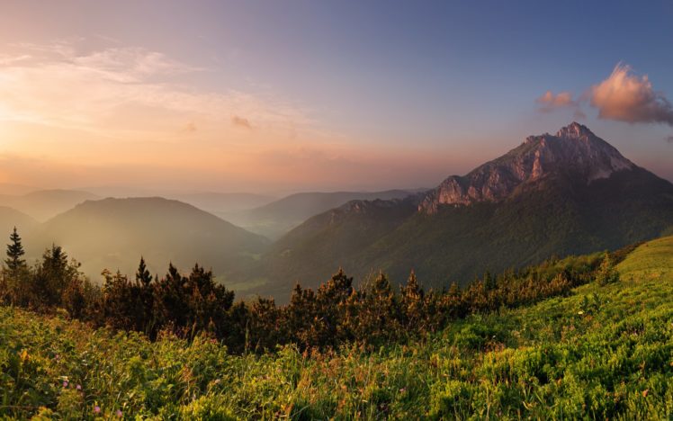mountains, Clouds, Forest, Grass, 2560×1600 HD Wallpaper Desktop Background