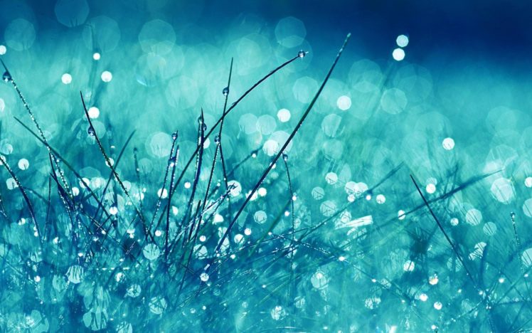 tumblr, Static, Rain grass fields nature 1920×1200 HD Wallpaper Desktop Background