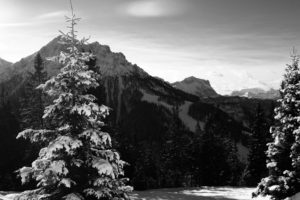landscapes, Snow, Trees, Grayscale, Italy, Alps, Kronplatz, 1920×1200