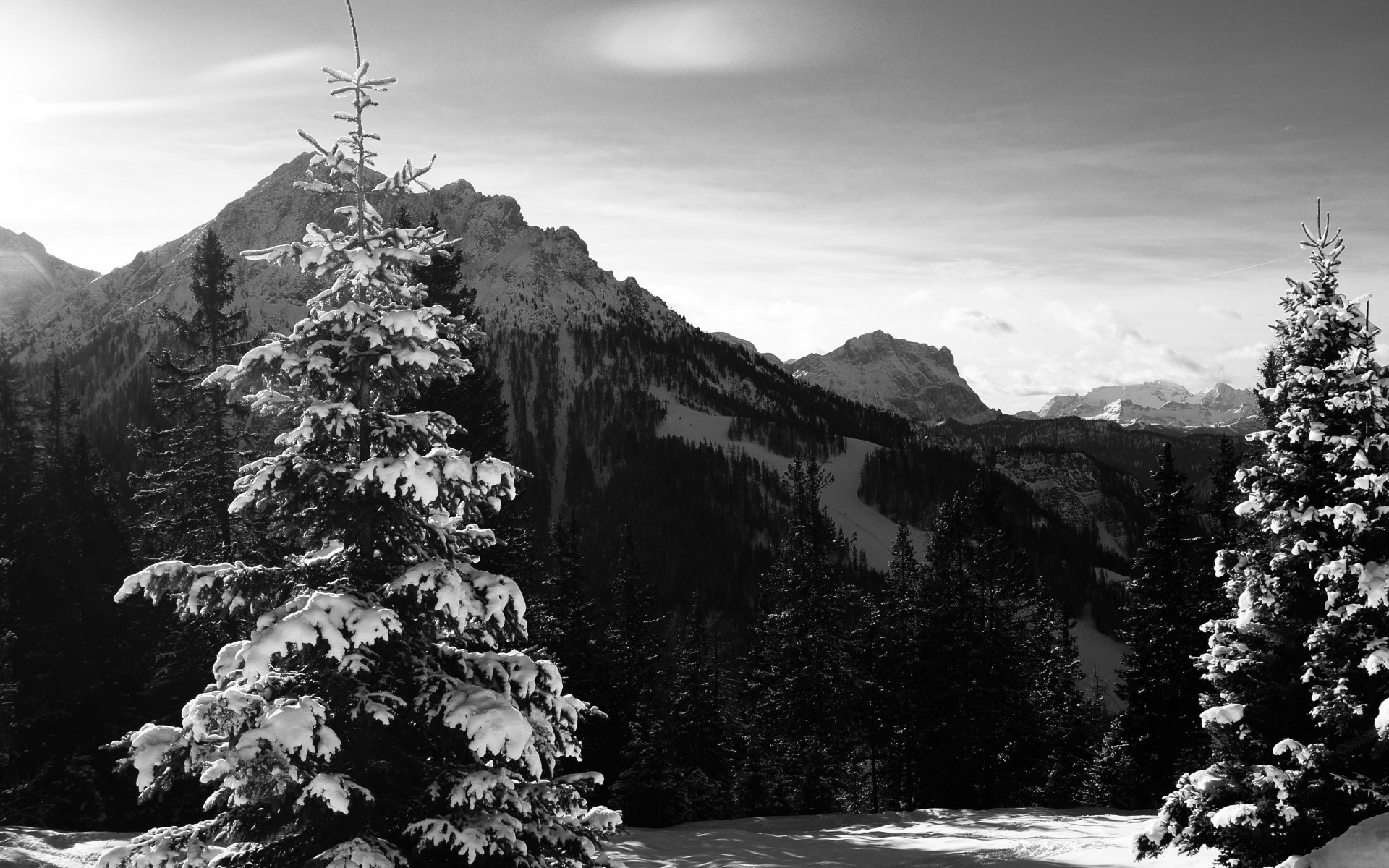 landscapes, Snow, Trees, Grayscale, Italy, Alps, Kronplatz, 1920x1200 Wallpaper