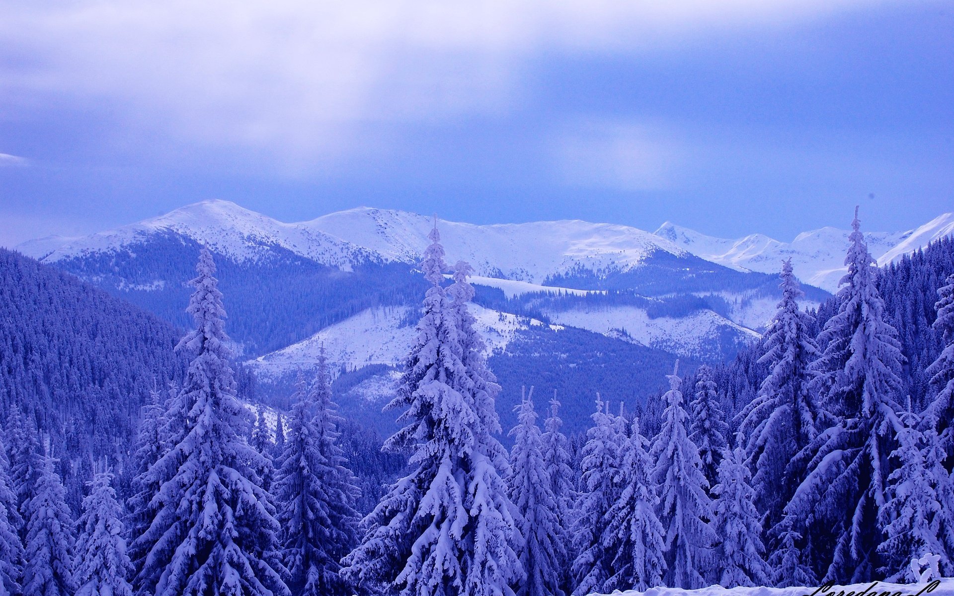 winter, Mountains, Hills, Trees, Snow, Landscape, 1920x1200 Wallpaper