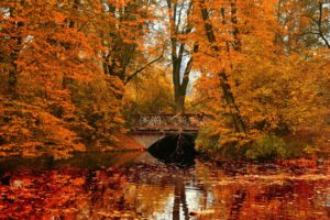 park, Bridge, River, Reflection, Autumn