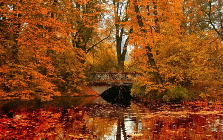 park, Bridge, River, Reflection, Autumn HD Wallpaper Desktop Background