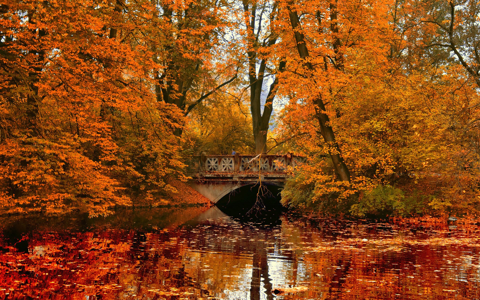 park, Bridge, River, Reflection, Autumn Wallpaper