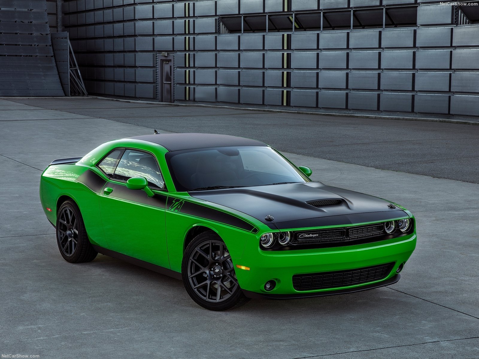 dodge, Challenger, Ta, 2016, Cars Wallpaper