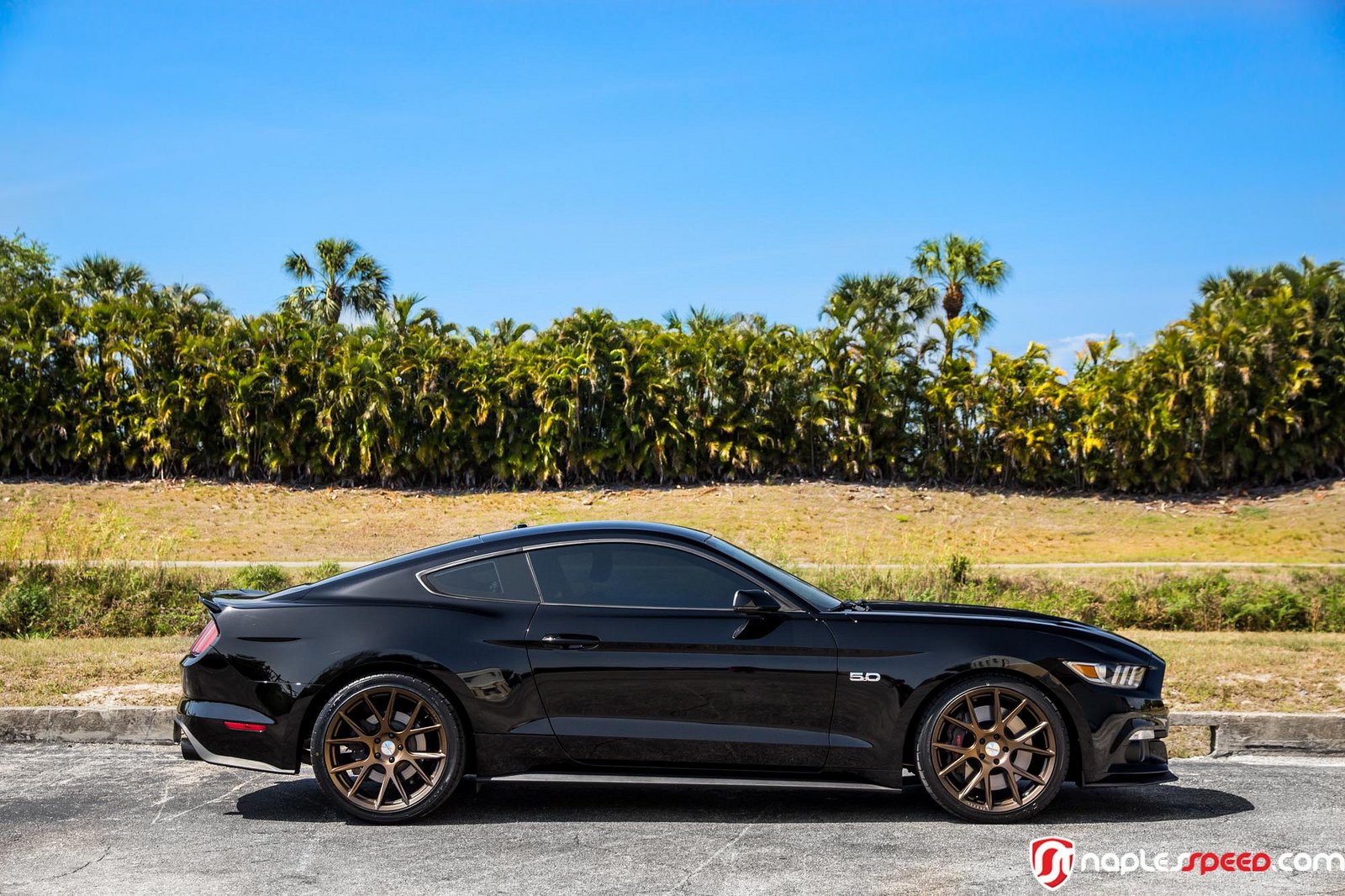 ford, Mustang, 2016, Black, Cars, Vossen, Wheel Wallpaper