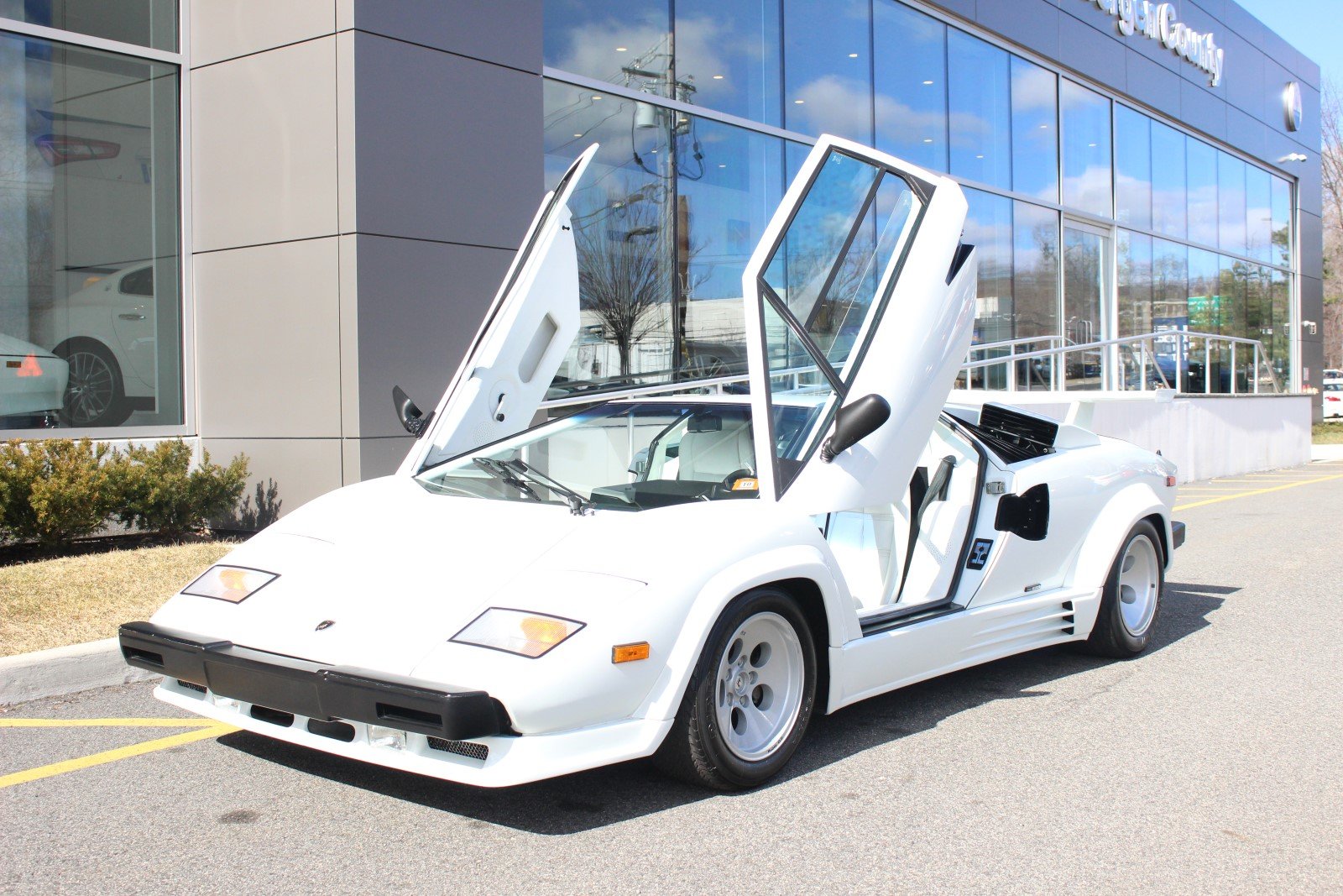 1988, Lamborghini, Countach, Cars, White Wallpaper