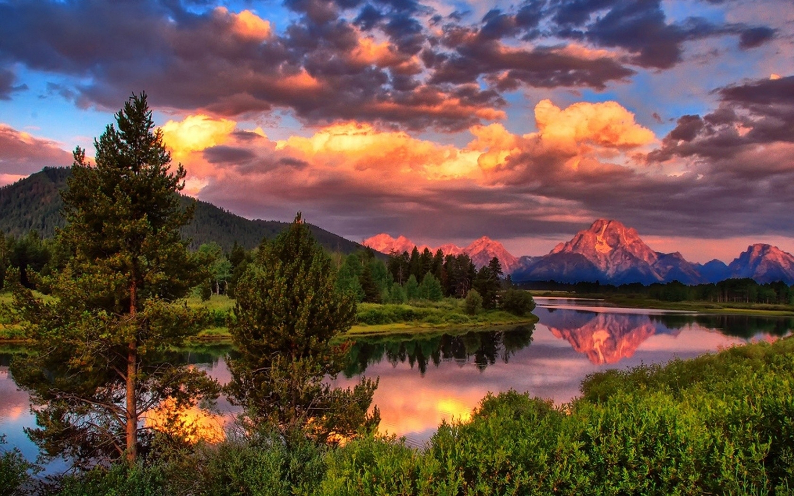 nature Wallpaper