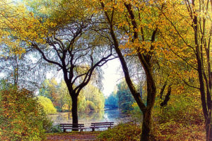 autumn, Park, Lake, Benches, Mood