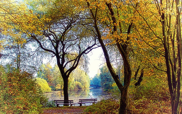 autumn, Park, Lake, Benches, Mood HD Wallpaper Desktop Background