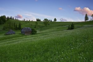 meadows, Hills, House, Trees, Landscape