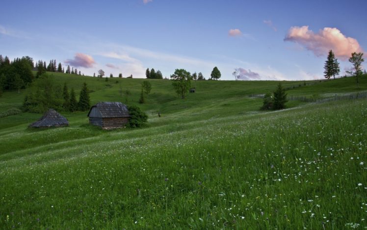 meadows, Hills, House, Trees, Landscape HD Wallpaper Desktop Background