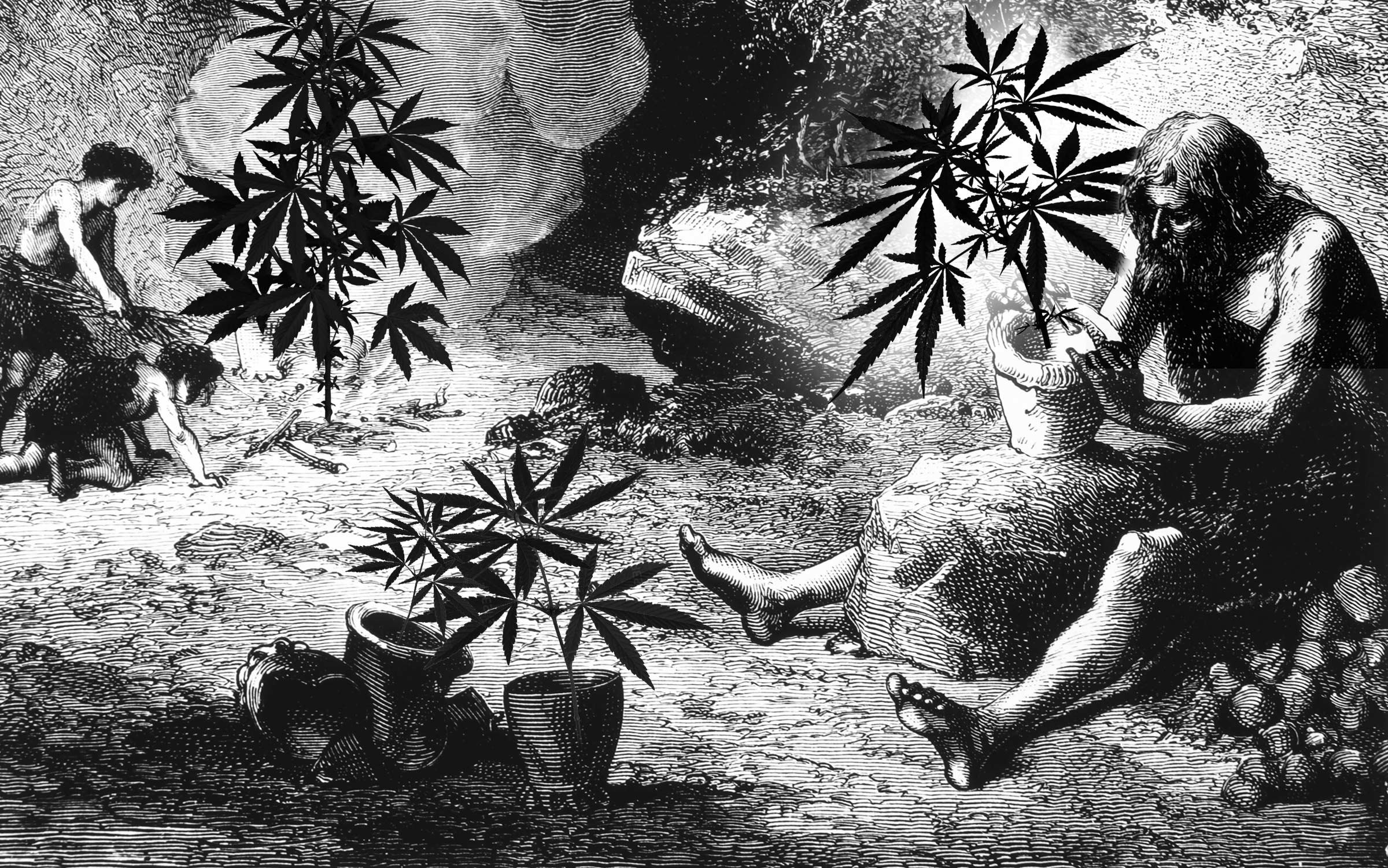 древнейшая марихуана