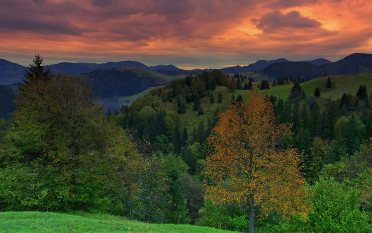 mountains, Hills, Forest, Trees, Sunset, Landscape, Sky HD Wallpaper Desktop Background