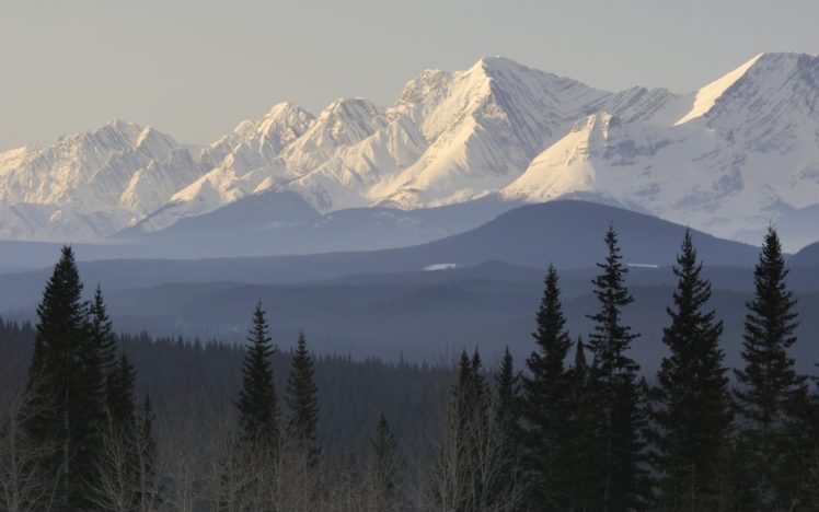 taiga, Mountains, Snow, Trees, Forest, Scenic HD Wallpaper Desktop Background