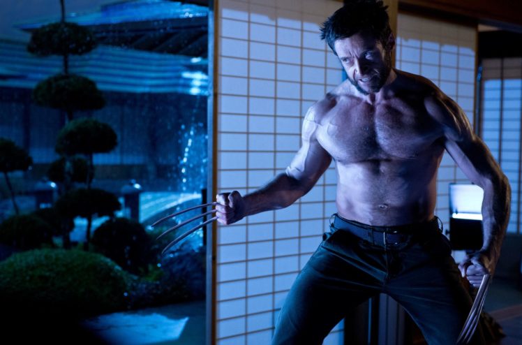 the, Wolverine, 2013, Hugh, Jackman, Superhero HD Wallpaper Desktop Background