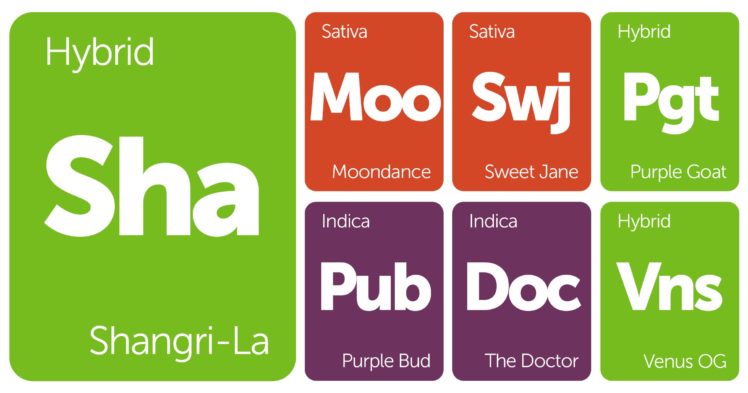 weed, Drugs, Marijuana, 420, Nature, Psychedelic, Plant, Cannabis, Rasta, Reggae, Drug, Trippy HD Wallpaper Desktop Background