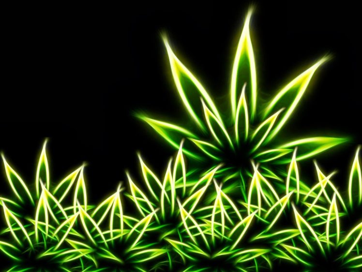 weed, Drugs, Marijuana, 420, Nature, Psychedelic, Plant, Cannabis, Rasta, Reggae, Drug, Trippy HD Wallpaper Desktop Background