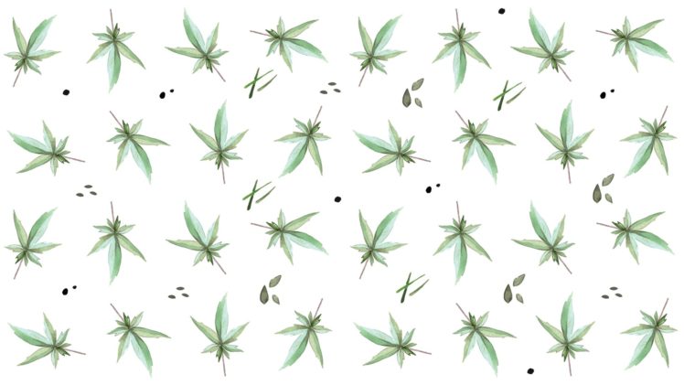 weed, Drugs, Marijuana, 420, Nature, Psychedelic, Plant, Cannabis, Rasta, Reggae, Drug, Trippy HD Wallpaper Desktop Background
