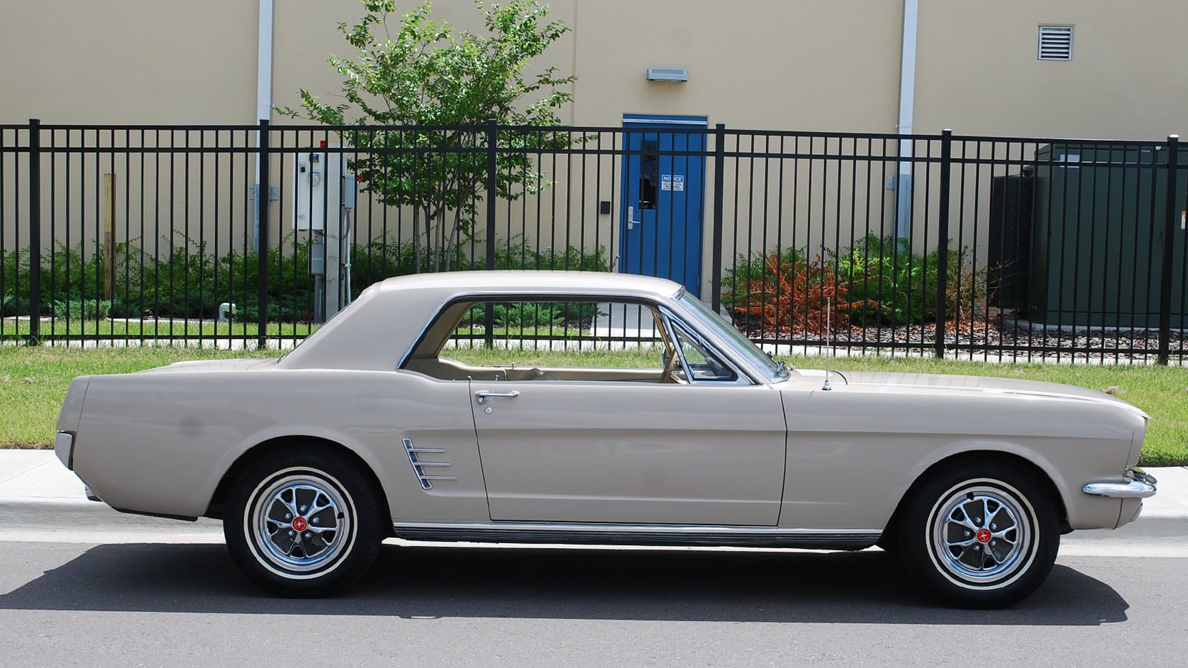 1966, Ford, Mustang, Cars, Classic Wallpaper