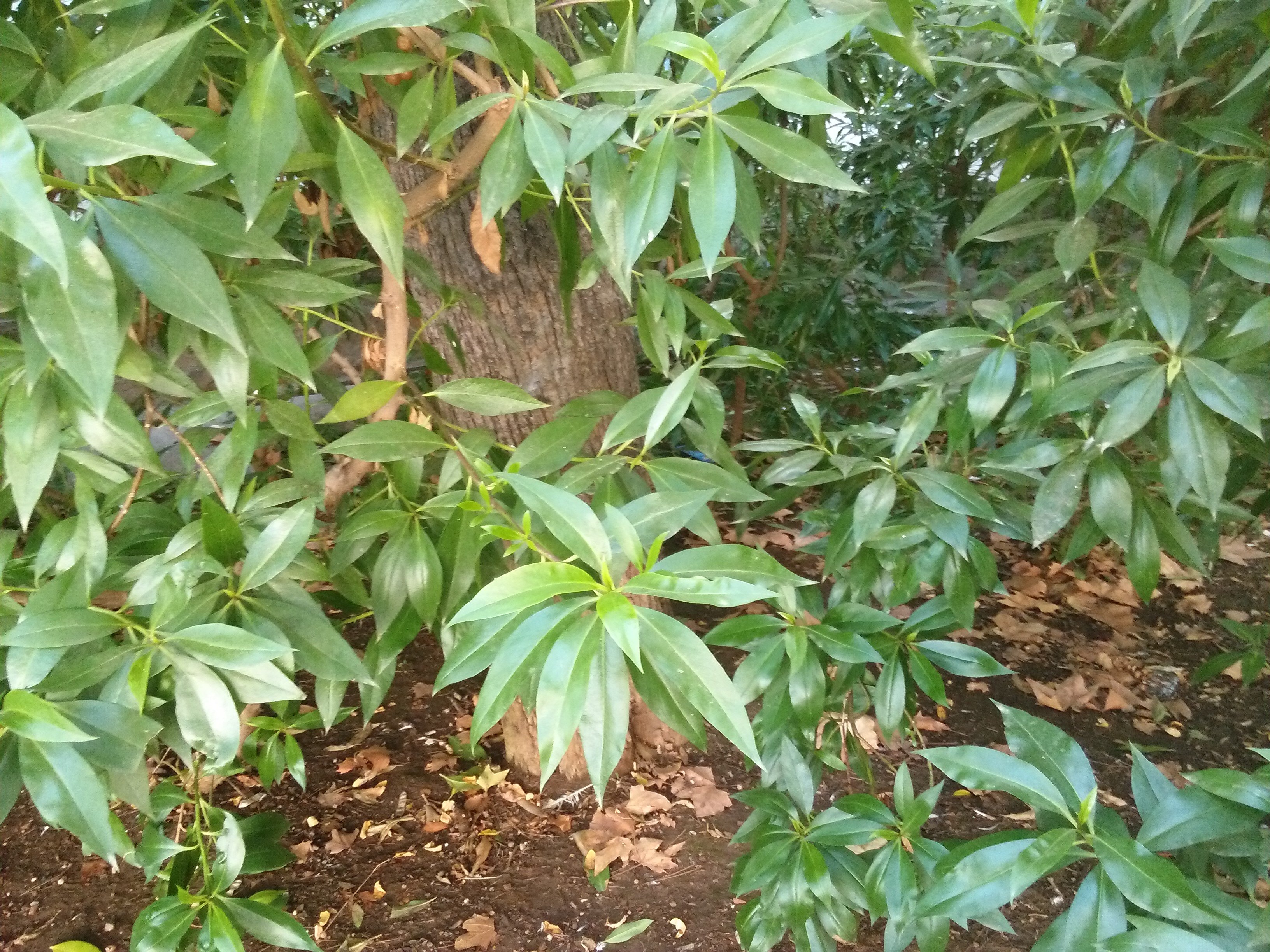 img, 20160826, 115541 Wallpaper