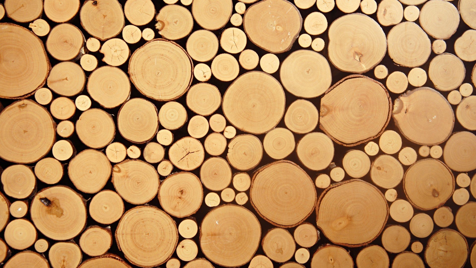 abstracto, Textura, Circulos, Madera Wallpaper