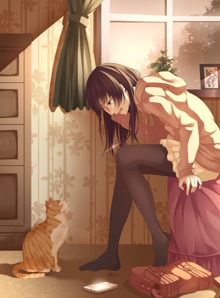 anime, Girl, Cat, Cry, Cut HD Wallpaper Desktop Background