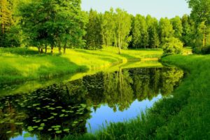 reflection, Trees, Nature, Greenery, River