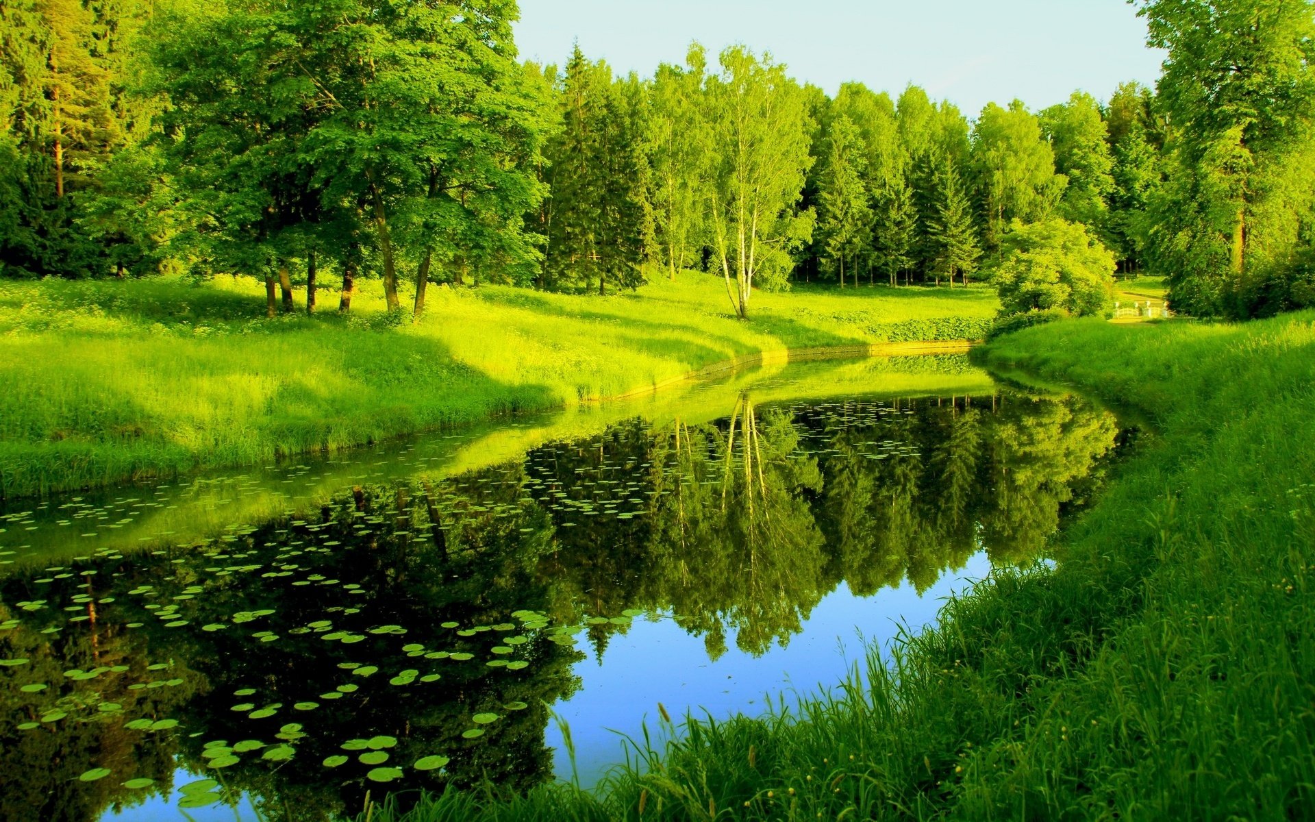 reflection, Trees, Nature, Greenery, River Wallpaper