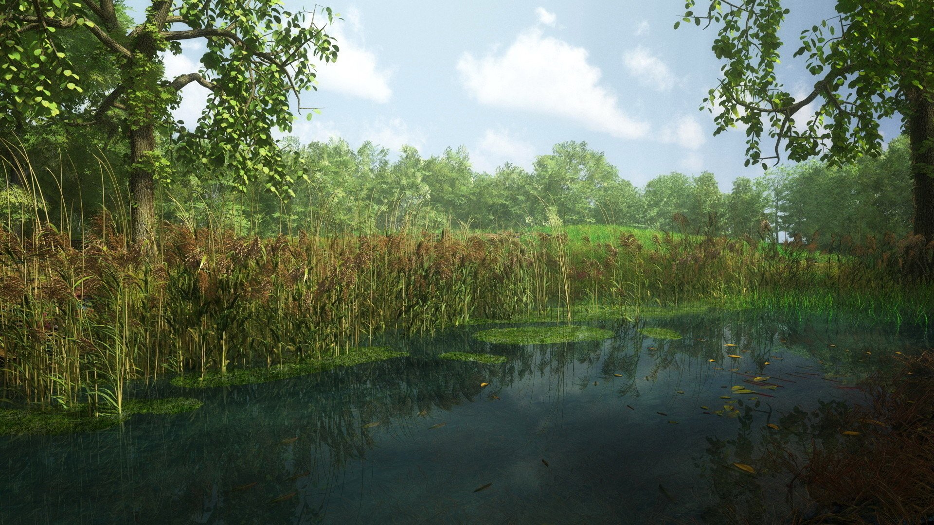 clouds, River, Leaves, Forest, Trees, Sky Wallpaper