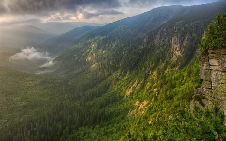 mountains, Fog, Valley, Forest, River, Morning HD Wallpaper Desktop Background