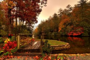 fall, River, Forest, Bridge