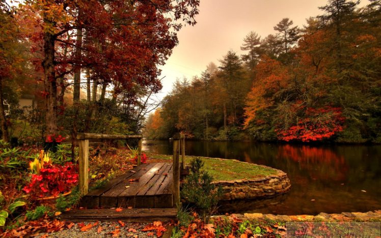 fall, River, Forest, Bridge HD Wallpaper Desktop Background