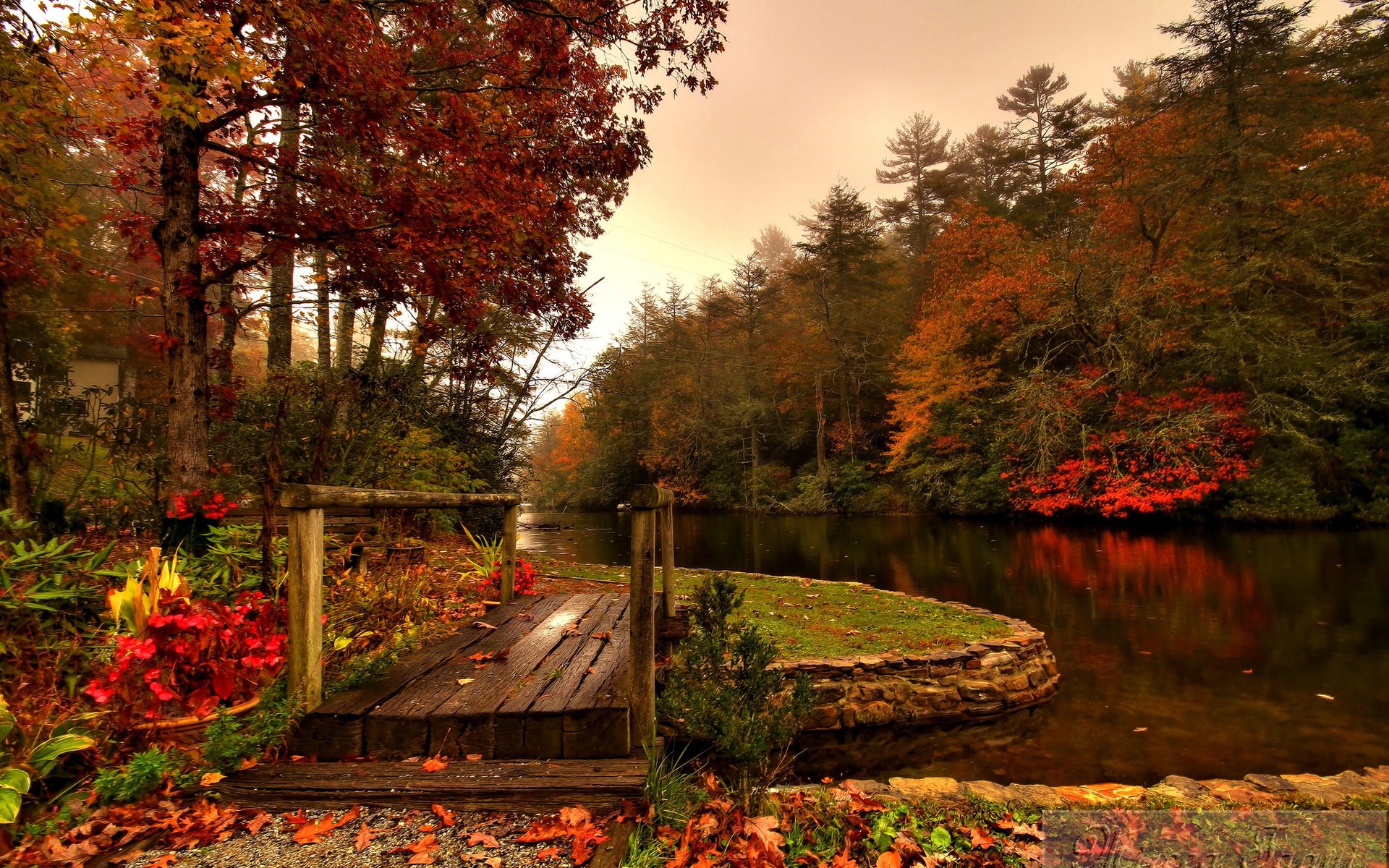 fall, River, Forest, Bridge Wallpaper