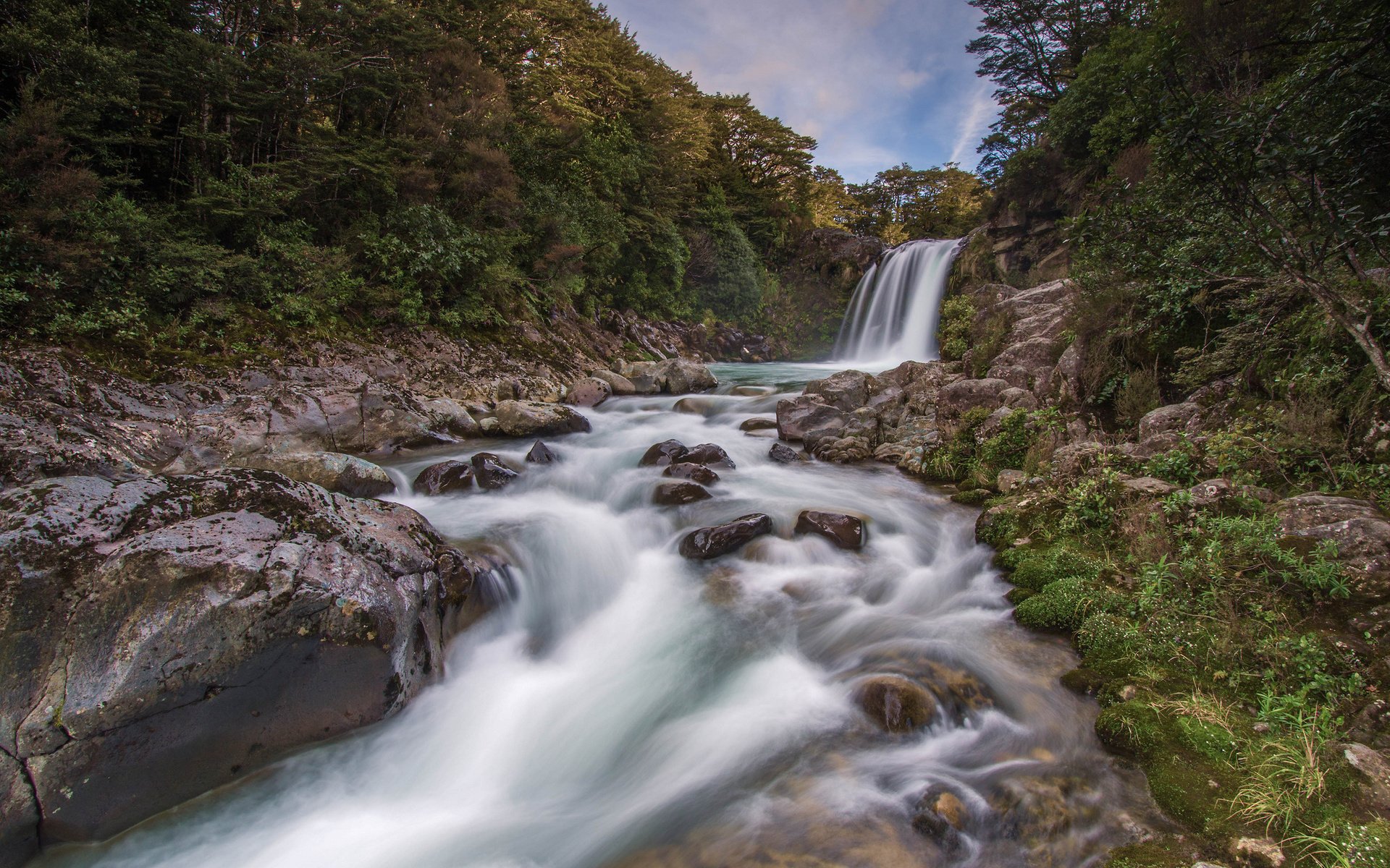 new, Zealand, Waterfall, Stones, Wood, Tawhay, Falls, New, Zealand, River Wallpaper